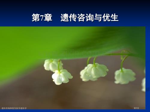 遺傳咨詢和優生醫學遺傳學專家講座.pptx